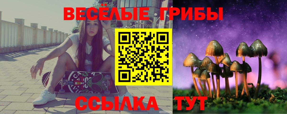 Копейск  Псилоцибиновые грибы прущие грибы  Вход с VPN 
